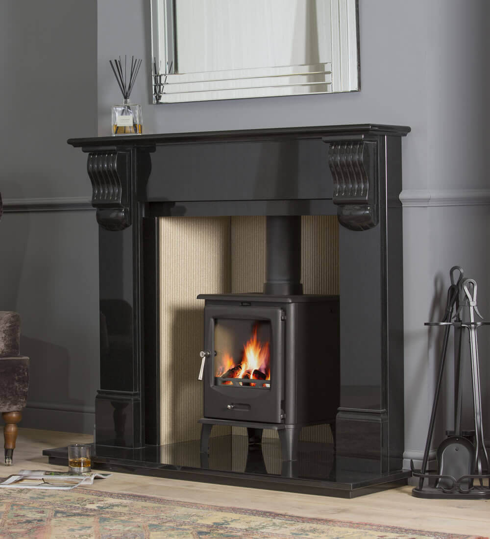 Multi fuel stove